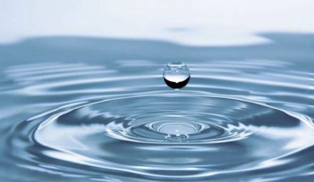 Micro organisms bioremediation